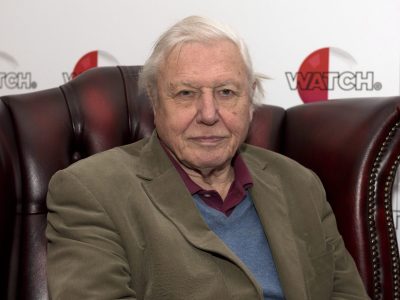 David Attenborough természettudós Föld bajnoka címet kapott