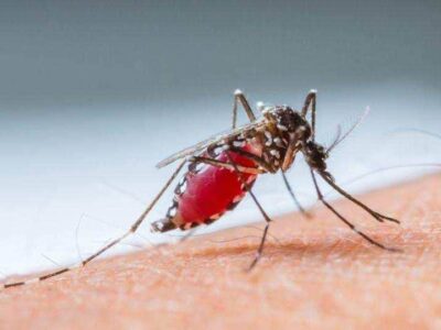 A héten 109 településen irtják a szúnyogokat