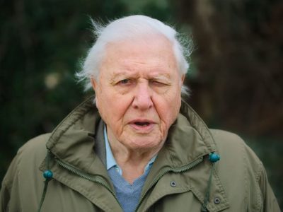 Királyi kitüntetést kapott David Attenborough a wales-i hercegtől