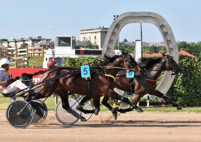 Digital Races nyerte a Hippodrom és Lovarda Sprinter kupát