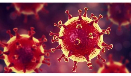 Három oltás véd a legjobban a koronavírus-fertőzés ellen