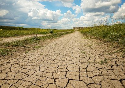 Kormánydöntések az aszály miatt