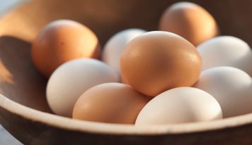 Bőséges lesz a tojáskínálat a szakmai szervezetek szerint
