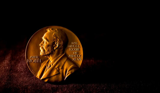 Annie Ernaux francia író kapja az irodalmi Nobel-díjat