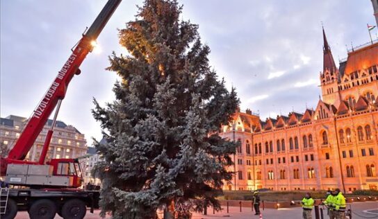 Felállították az ország karácsonyfáját a Parlament előtt – Fotó!