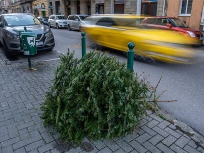 A fővárosban környezetbarát módon hasznosítják a karácsonyfákat