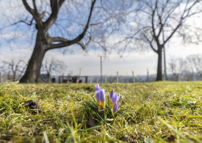 Változékony, enyhe idő lesz a héten, többször kell csapadékra számítani