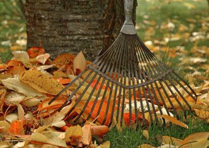 Megkezdődött a kerti zöldhulladék begyűjtése Budapesten