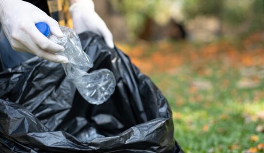 Több mint 43 tonna hulladékot gyűjtöttek össze a tűzijáték után Budapesten