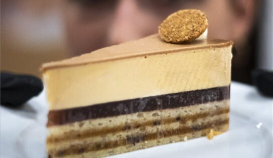 A Spicces füge respektus lett idén Magyarország tortája