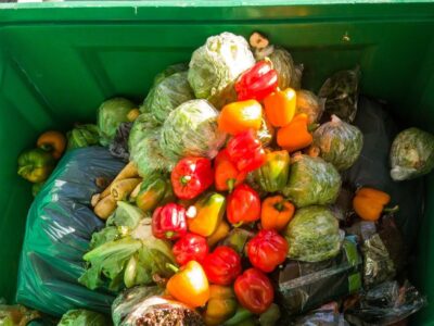 Januártól kezdődik a konyhai zöld- és élelmiszerhulladékok házhoz menő gyűjtése az országban
