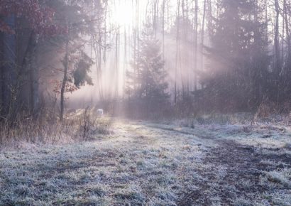 A hét elején még sok napsütés várható, majd visszatér a borult, párás, ködös idő