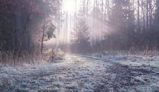 A hét elején még sok napsütés várható, majd visszatér a borult, párás, ködös idő