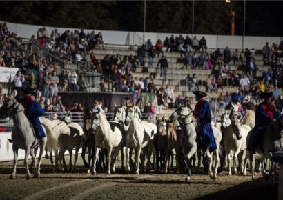 Ma rendezik a Nemzeti Vágta döntőjét
