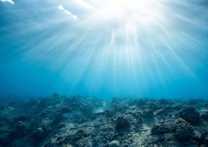 Az óceánokat fenyegető veszélyekre figyelmeztet új jelentésében a Greenpeace