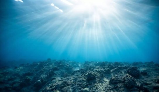 Az óceánokat fenyegető veszélyekre figyelmeztet új jelentésében a Greenpeace