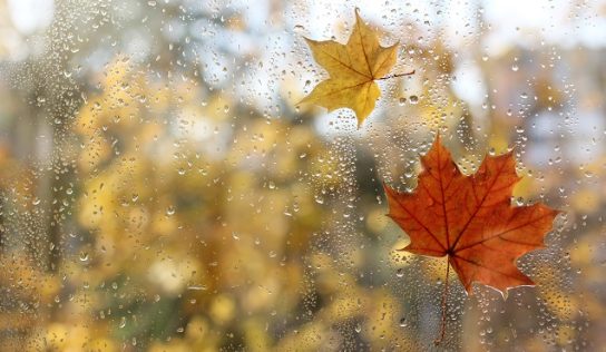 A hét elején nyugodt őszi idő várható, a hét második felében változékonyra fordul az időjárás