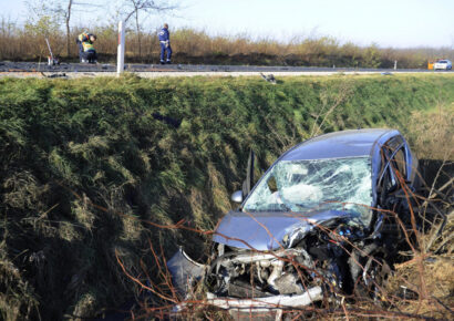 Változott a szabályozás, már majdnem minden esetben az autóst terheli a vadbalesetből eredő kár