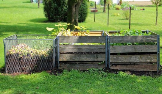 Komposztálható bioműanyag csomagolást fejlesztett ki egy magyar cég