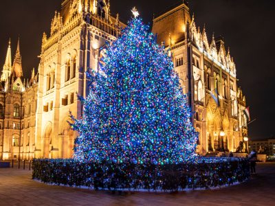 Egy hajdúsági fenyőfa lesz idén az ország karácsonyfája
