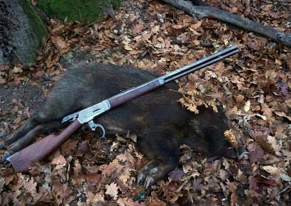 Vadászat közben meglőttek egy kirándulót a Bükkben