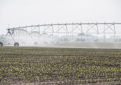 A tartósan vízhiányos időszakban vízjogi engedély nélkül is lehet öntözni