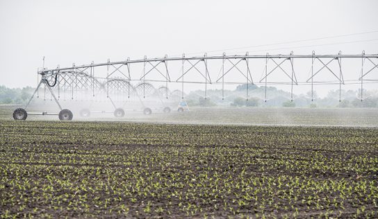 A tartósan vízhiányos időszakban vízjogi engedély nélkül is lehet öntözni
