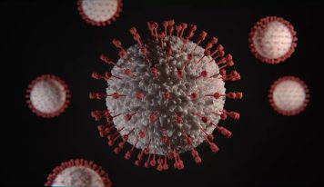 Szabadalommal zárulhat a magyar koronavírus-kutatás