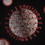 koronavirus