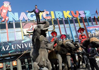 A Fővárosi Nagycirkusz is meghívást kapott az I. Pekingi Nemzetközi Előadóművészeti Világkiállításra