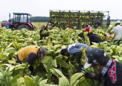 Tovább szigorodhatnak a vendégmunkások foglalkoztatásának szabályai