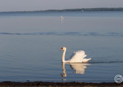 Nem emelkednek jövőre a balatoni horgászjegyárak