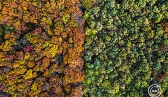 Folytatódik a nyugodt őszi idő a hétvégén is