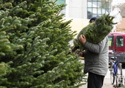 5-10 százalékos áremelkedéssel indul a karácsonyfaszezon