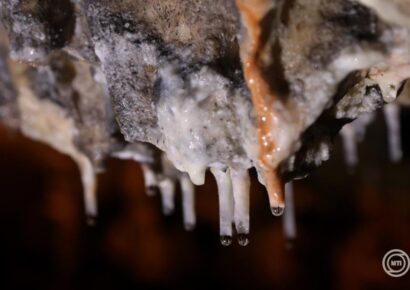 Idén 40 éves az Aggteleki Nemzeti Park