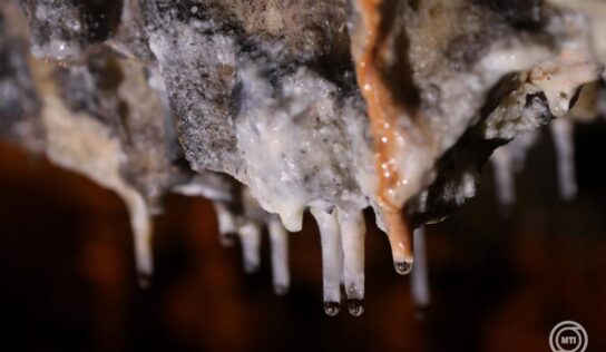 Idén 40 éves az Aggteleki Nemzeti Park