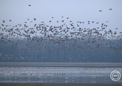 Enyhe, de szeles, változékony idő várható a héten