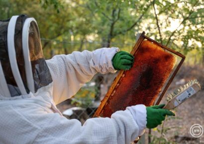 Fontos határidő érkezik a méhészek számára