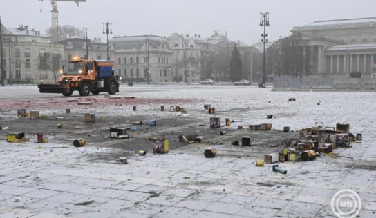 Több mint nyolc tonna hulladékot szedtek össze a főváros közterületeiről
