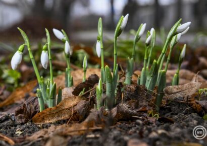 Többfelé kisüt a nap a hétvégén és lassú melegedés kezdődik