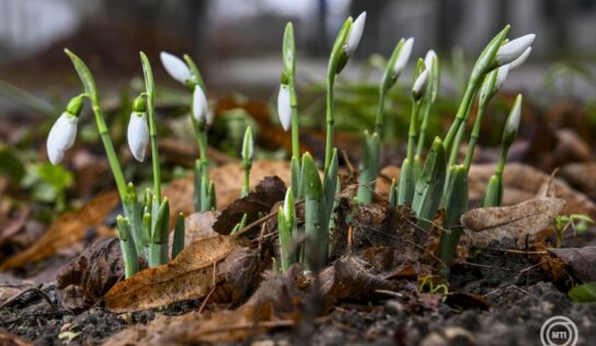 Többfelé kisüt a nap a hétvégén és lassú melegedés kezdődik