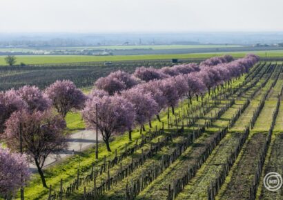 Folytatódik a nyugodt, napos idő a hétvégén is