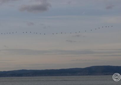 Több hullámban eső érkezik a héten