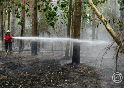 Tűzgyújtási tilalom lép életbe pénteken hat vármegyében