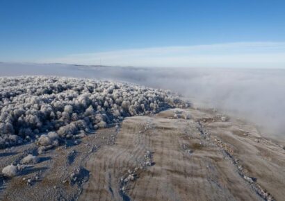 Rendkívüli segítséghez jutnak a súlyos tavaszi fagykárt szenvedett szőlő- és gyümölcstermelők