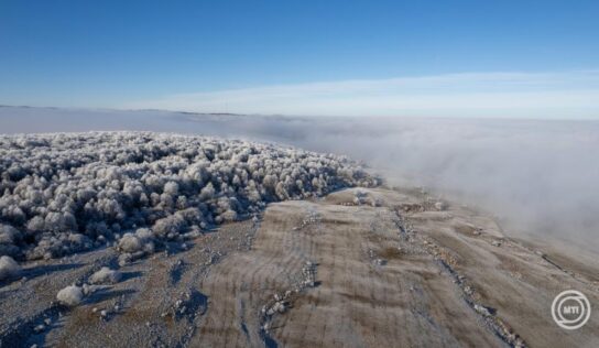 Érkezik a segítség a súlyos tavaszi fagykárt szenvedett termelőknek