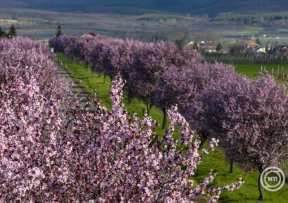 Változékony idő várható a héten, de Húsvétvasárnap már ismét enyhe, napos, tavaszi időre kell készülni