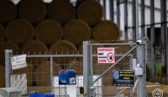 Újabb szigorítások és intézkedések jönnek a ragadós száj- és körömfájás megfékezése érdekében