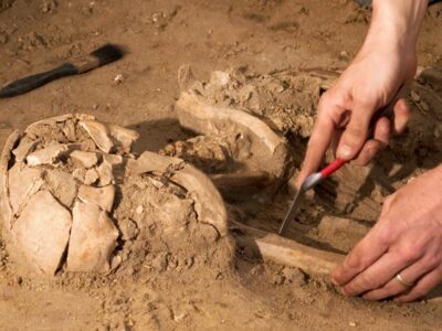 Második világháborúban elhunyt katona maradványait tártak fel Csömörön