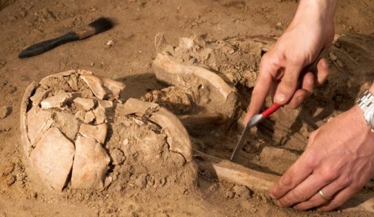 Második világháborúban elhunyt katona maradványait tártak fel Csömörön